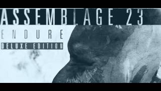 Assemblage 23 - Afterglow