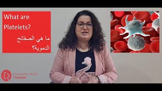 What are Platelets? | ما هي الصفائح الدموية؟