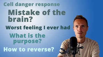 What is an ME/CFS crash really? (besides a terrible experience)