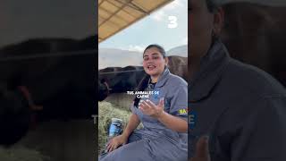 Img 9285