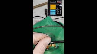 PROPEX pixi