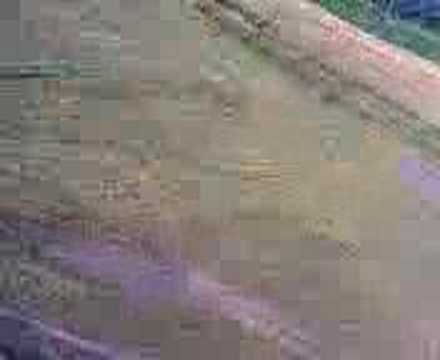 helicoptero rc en lujan,argentina,camara a bordo - YouTube