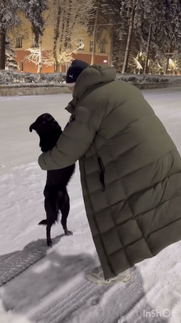 Funny  dog