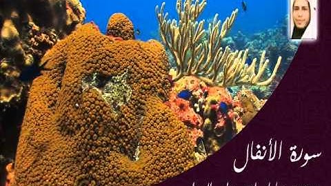 سورة الأنفال