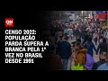 Censo 2022: Pardos superam Brancos pela 1ª vez desde 1991