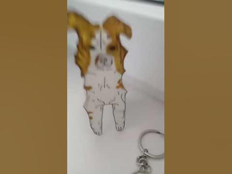 бумажные собачки - YouTube
