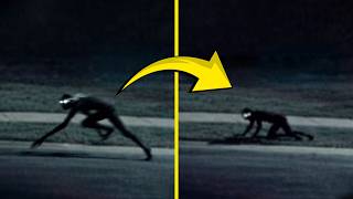 Mysterious Creatures Caught On Camera!