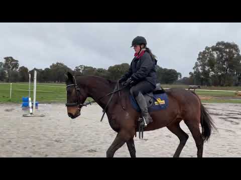 Video: Horse Racing, Show Jumping And Recreational Riding