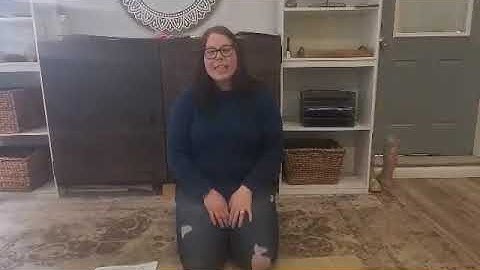 Primary insect puzzles