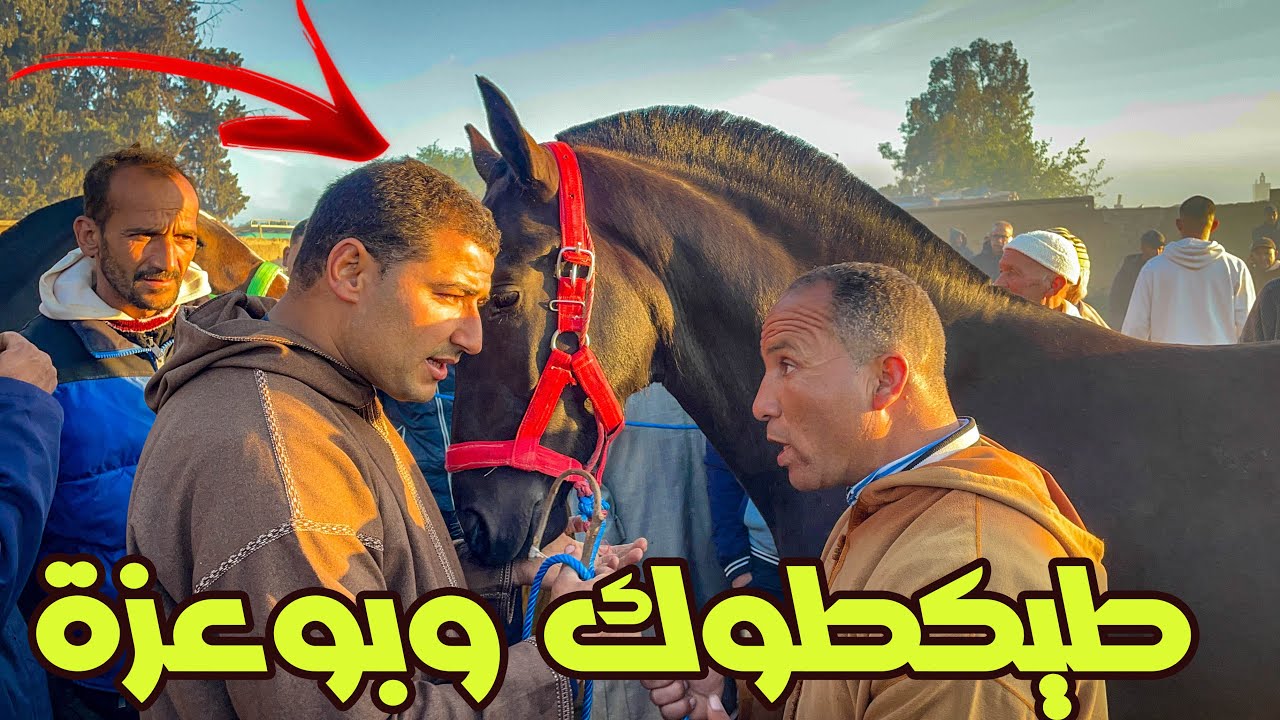 سوق الثلاثاء الخميسات اليوم حماسي لعربي طويبة دار اكبر تجارة جوج جدوعا من السماعلة تعطات فيه 7 ملاين