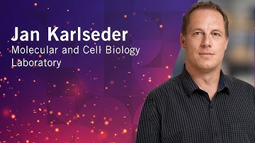 From Then to When | Meet Salk Scientists | Jan Karlseder