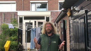 Gierzwaluwen één van de mooiste geluiden.