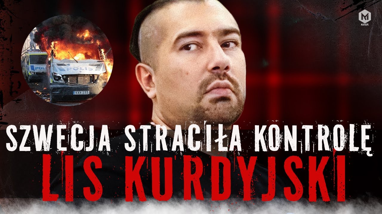 GANGI IMIGRANTÓW ZNISZCZYŁY SPOKOJNĄ SZWECJĘ. 