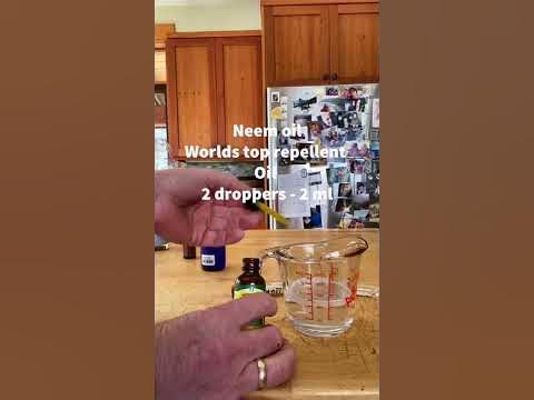 Best Natural Flea and Tick Spray Recipe - YouTube