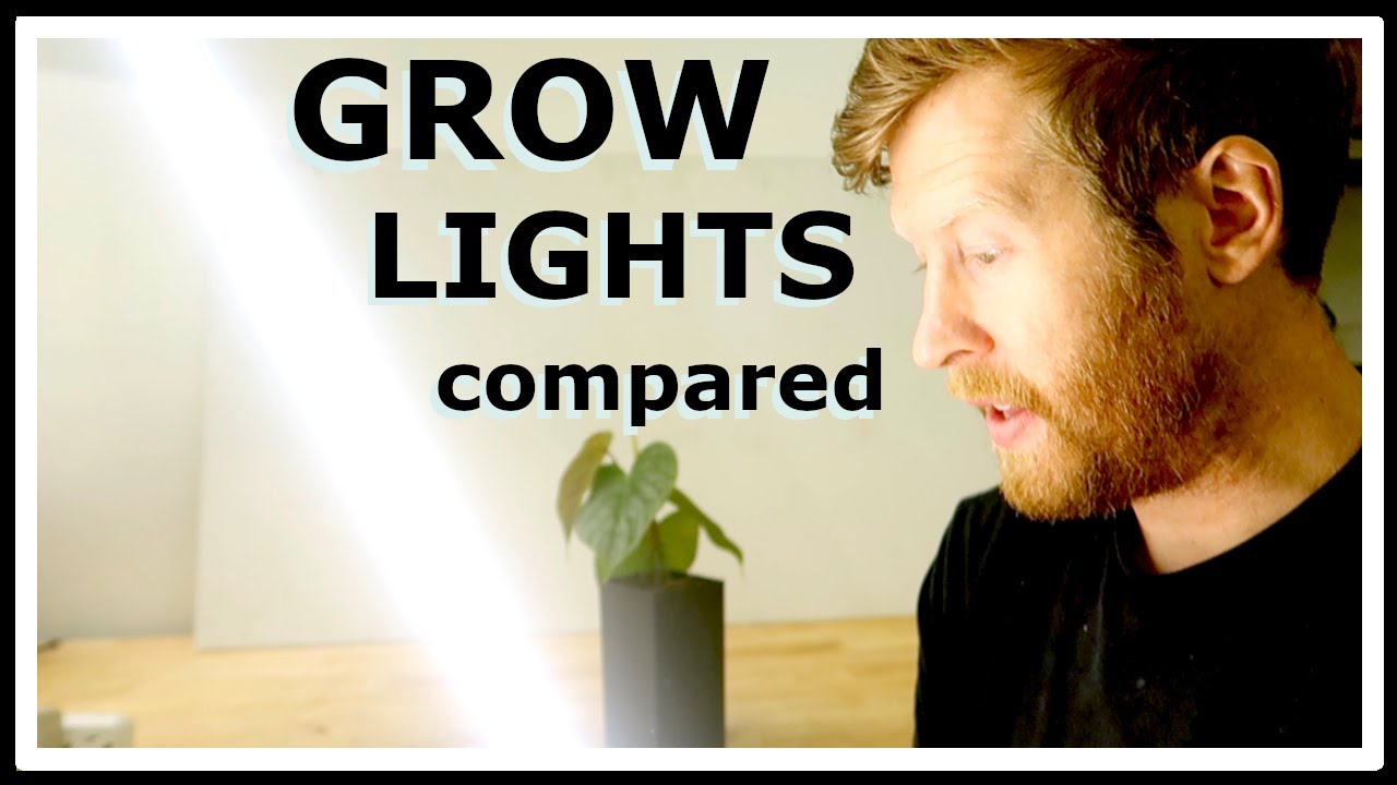 Honest Review of 5 Different Grow Lights: Power $$$ + Color Temp
