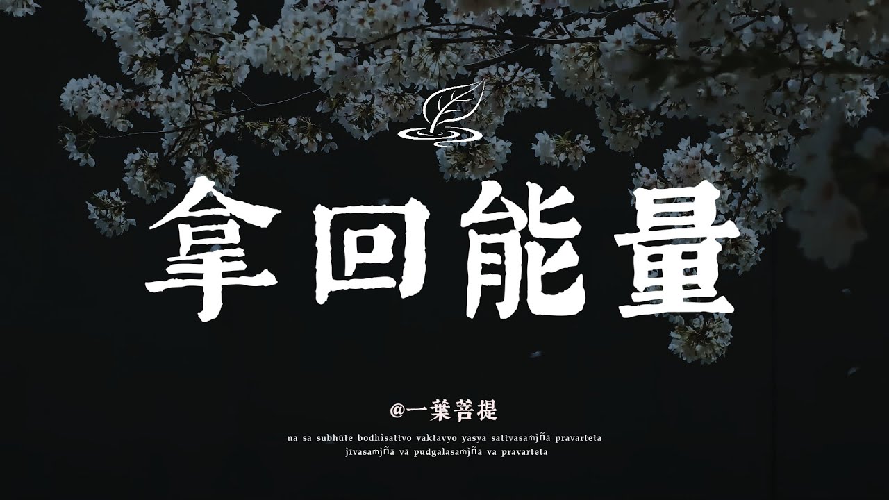 當你放手的時候，其實是拿回能量的過程 🍃 一葉菩提 #修行 #國學 #禪 #治癒 #開悟 #佛學