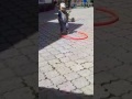 Тацор диско Аминош