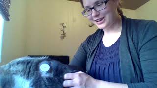 Squirmy Angry Cat Has Freestyle Libre Sensor - Intro by Jamie Houle 4,969 views 4 years ago 3 minutes, 2 seconds