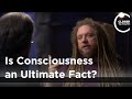 Jaron Lanier - Is Consciousness an Ultimate Fact?