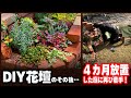 【DIY花壇】４ヶ月も放置した庭を再整備してガーデニングのやる気スイッチをいれます！/秋に迎えた植物たちの紹介と植え込み作業/４か月後の様子　手作り花壇　寄せ植え 庭DIY