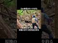 【渓流釣り】父の神業がヤバすぎた。源流で天然岩魚を釣る。#渓流釣り