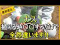【ナス栽培】植え付けの時にコレやるだけで生育が良くなります【有機農家直伝！無農薬で育てる家庭菜園】　26/4/21