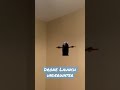 Drone launch underwater