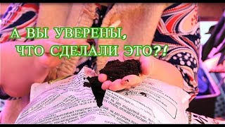 ⁣А ВЫ УВЕРЕНЫ, ЧТО СДЕЛАЛИ ЭТО?! ВАЖНЫЕ ШАГИ ПРИ ПОДГОТОВКЕ К ПОСАДОЧНОМУ СЕЗОНУ.