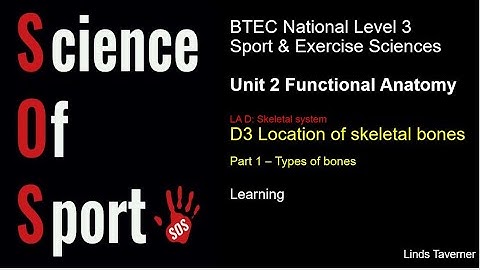 Unit 2 Functional Anatomy - D3 Location of skeletal bones (Part 1) - Types of bones