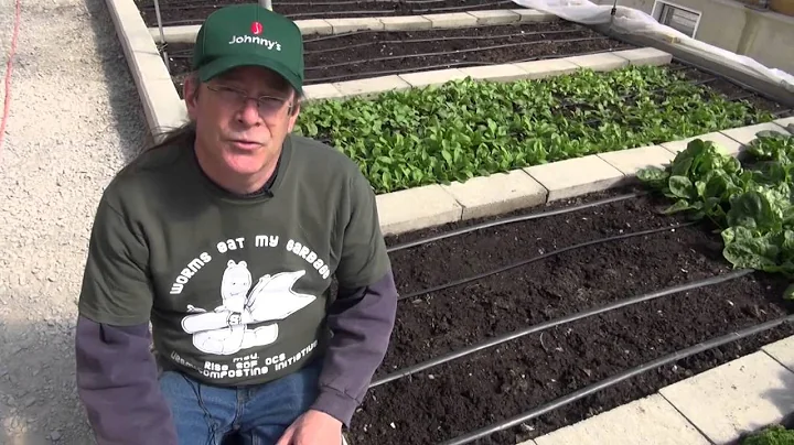 Bailey Hoophouse at Michigan State University