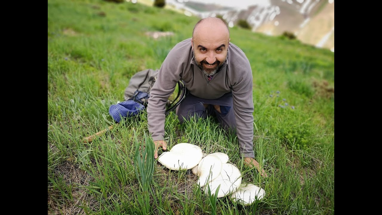 Dersim, Demenan Yaylaları  2019 Mayıs Gezisi, Kunkor Mantarı - Full Tek parça