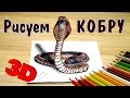 КАК НАРИСОВАТЬ ЗМЕЮ КОБРУ 3D. How to draw a snake 3D