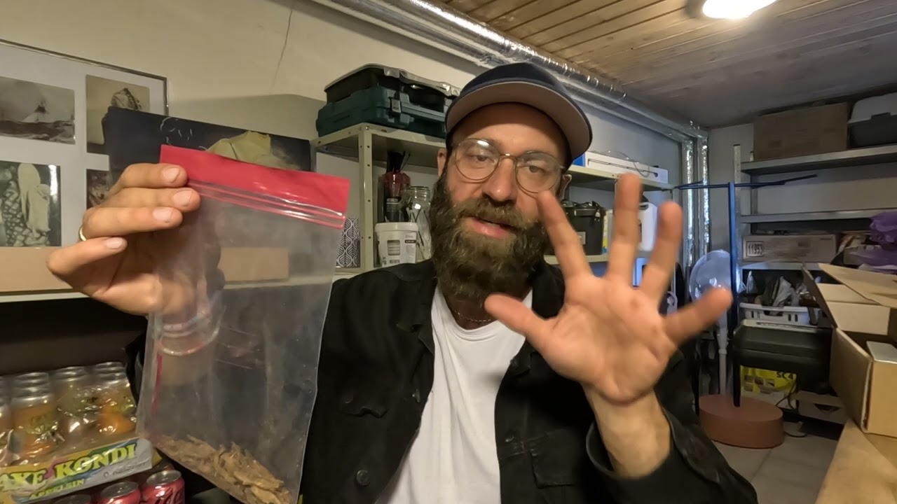 Is It Worth Rehydrating Dry Pipe Tobacco? | Tips & Results