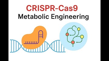 CRISPR-Cas9 & Metabolic Engineering: Reprogramming Life’s Biochemical Circuits