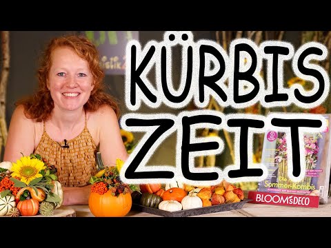 Video: Der Deko-Kürbis Ist Wieder Im Trend. Bekanntschaft