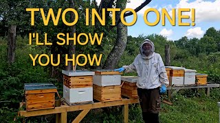 The Newspaper Method:  How To Combine Two Colonies