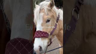 Evil loves me 🐎🐴❤️🥰 #horse