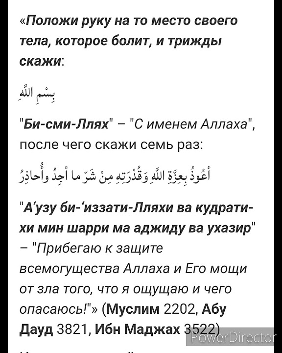 Достоверный хадис: Муслим 2202 - YouTube