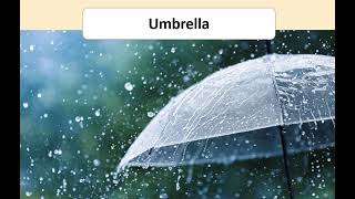 Audio of words from Unit 4, Lesson 1 (quick minds 4)