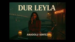 Dur Leyla (Türkü Cover) - Psychedelic Anatolian Rock Anadolu Sentez