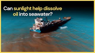 Sunlight can help dissolve oil into seawater!