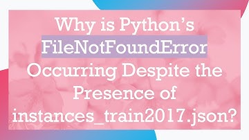 Why is Python’s FileNotFoundError Occurring Despite the Presence of instances_train2017.json?