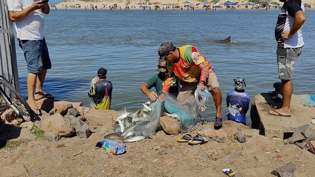 Pescas de tarrafas, 27-02-25, Pesqueiro da CDA, Imbé. Sucesso total! #fish #pescadetarrafas #botos