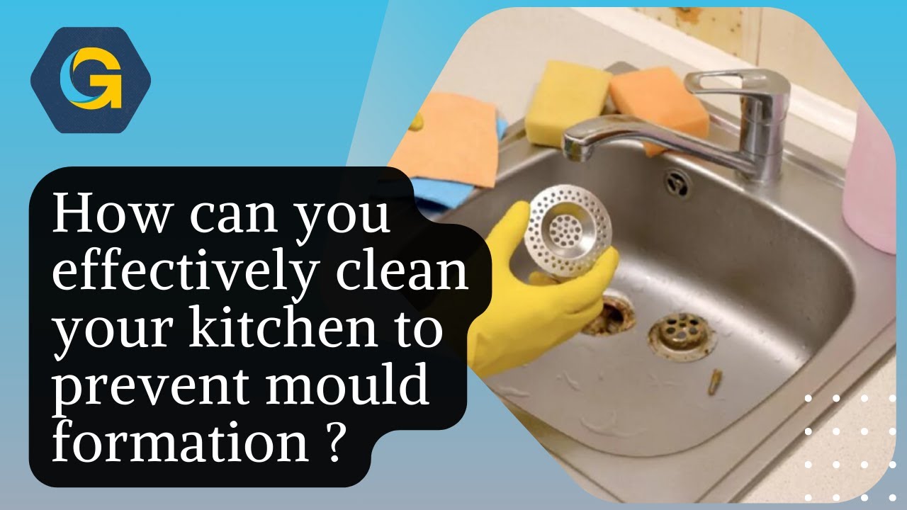 Clean Formation How can you effectively clean your kitchen to prevent mould formation ...