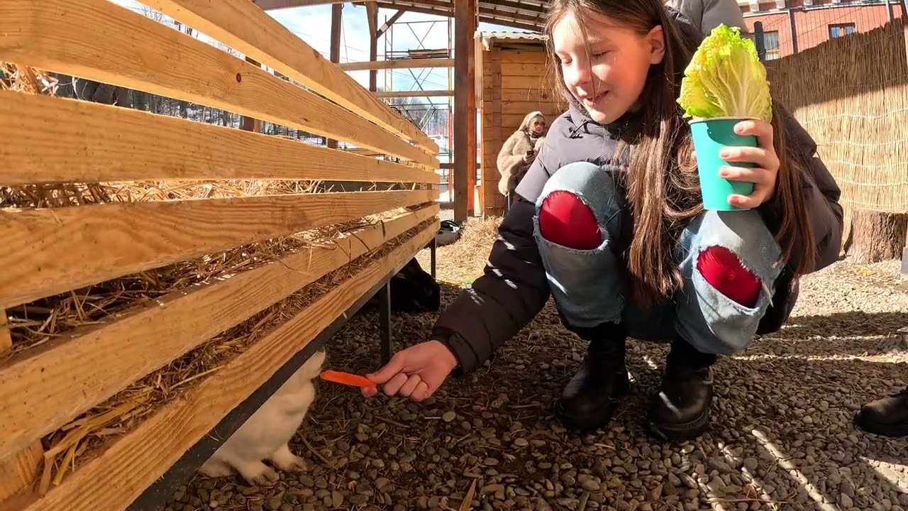 курорт КРАСНАЯ ПОЛЯНА