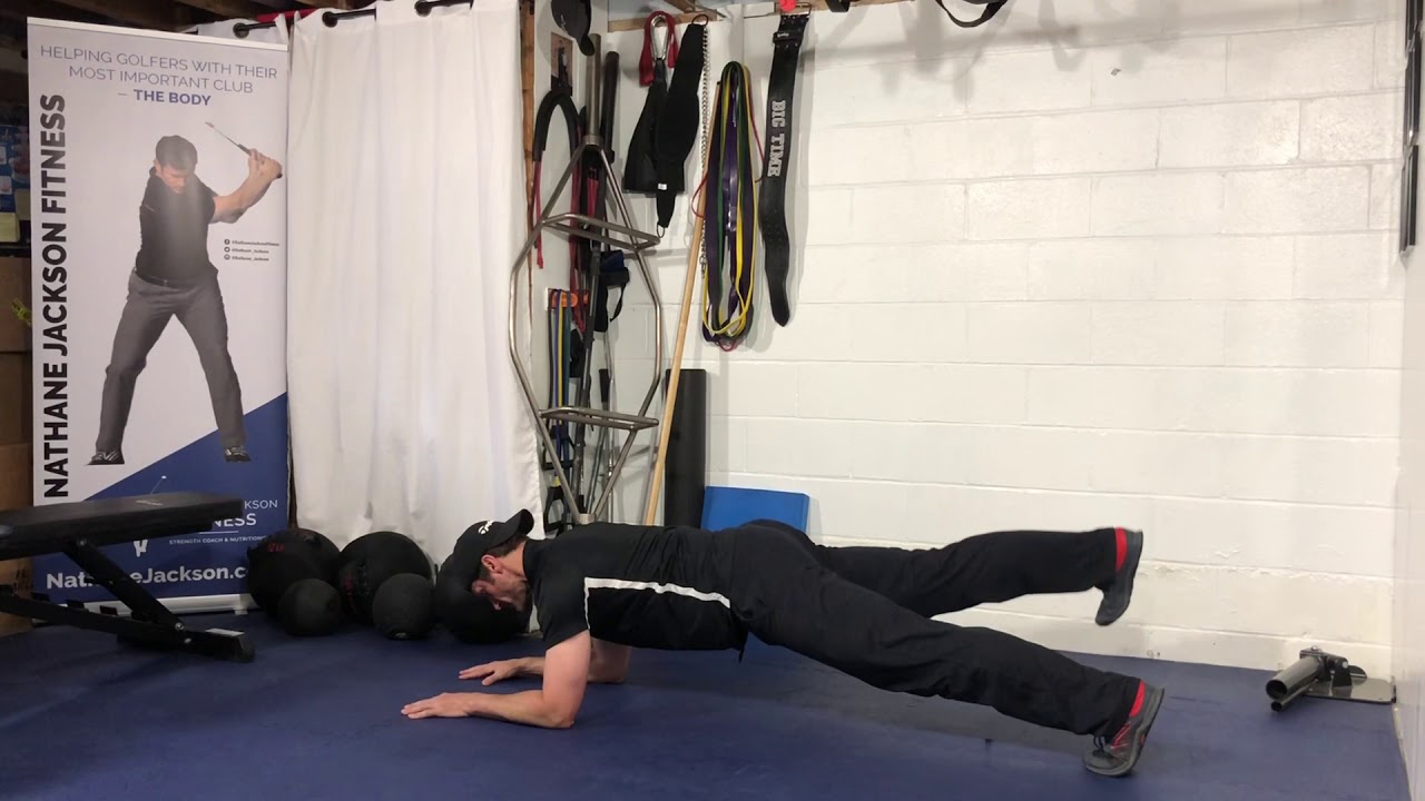 Forearm Plank with Alternating Leg Lift - YouTube