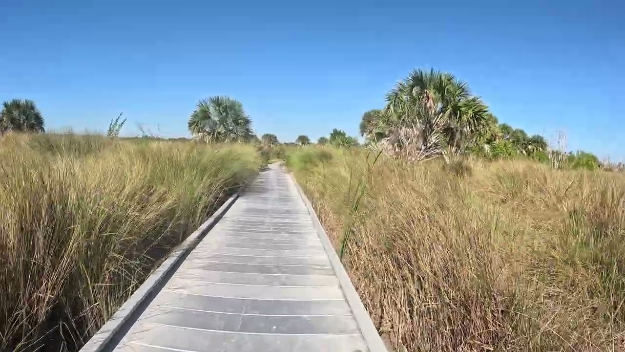 Bailey Tract - 4K - 11/14/25