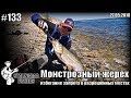 Монстрозный жерех или избегание запрета в разрешённых местах - 27.05.2018