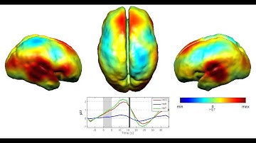 Infant Burst Suppression