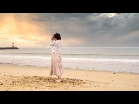 【はなみん】 曖昧さ回避 【踊ってみた】